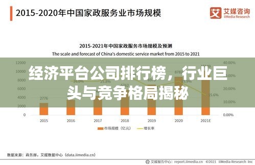 经济平台公司排行榜，行业巨头与竞争格局揭秘