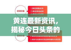 黄连最新资讯，揭秘今日头条的最新动态