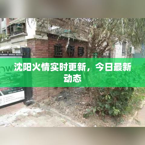 沈阳火情实时更新，今日最新动态