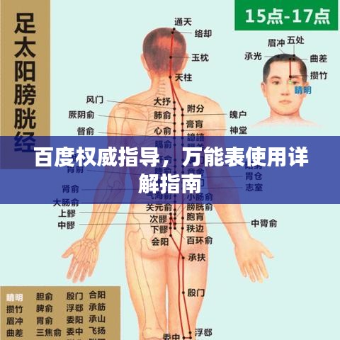 百度权威指导，万能表使用详解指南
