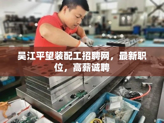 吴江平望装配工招聘网，最新职位，高薪诚聘
