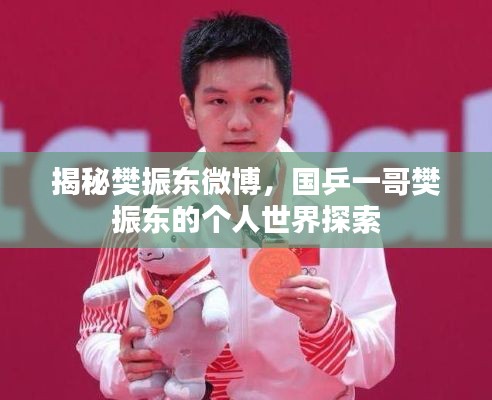 揭秘樊振东微博，国乒一哥樊振东的个人世界探索