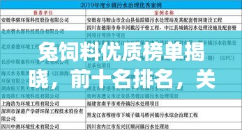 意气风发 第2页