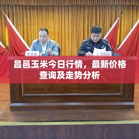 昌邑玉米今日行情，最新价格查询及走势分析