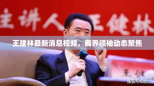 王建林最新消息视频，商界领袖动态聚焦