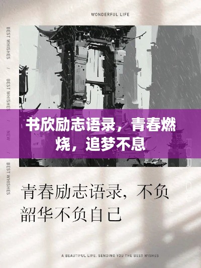 书欣励志语录，青春燃烧，追梦不息