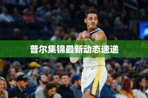 普尔集锦最新动态速递