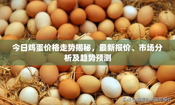 今日鸡蛋价格走势揭秘，最新报价、市场分析及趋势预测