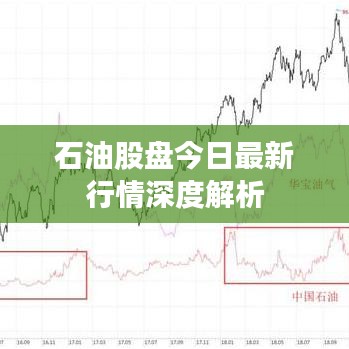 石油股盘今日最新行情深度解析
