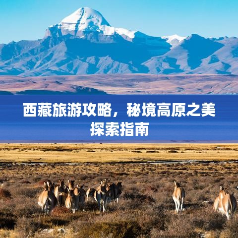 西藏旅游攻略，秘境高原之美探索指南