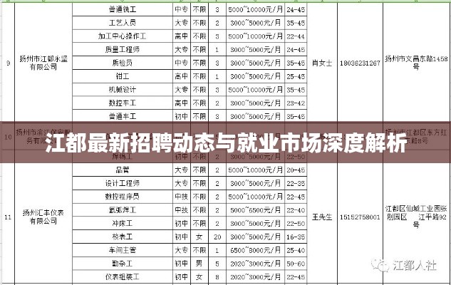 江都最新招聘动态与就业市场深度解析