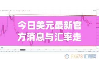 今日美元最新官方消息与汇率走势深度解析