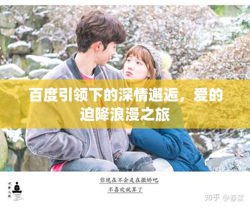 百度引领下的深情邂逅，爱的迫降浪漫之旅