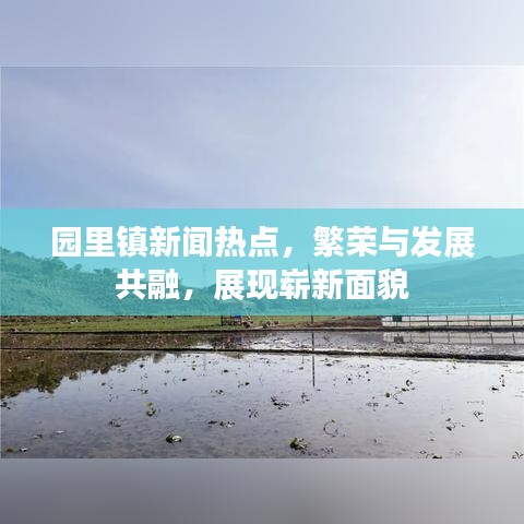 园里镇新闻热点，繁荣与发展共融，展现崭新面貌