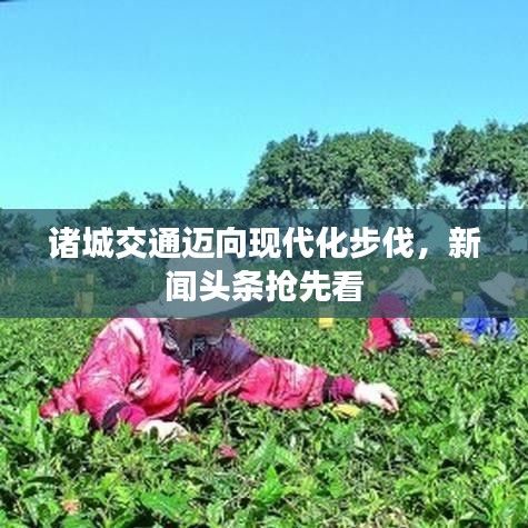 诸城交通迈向现代化步伐，新闻头条抢先看