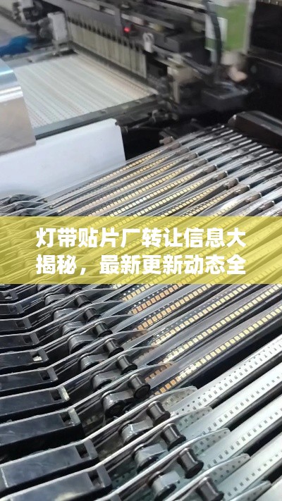 灯带贴片厂转让信息大揭秘，最新更新动态全掌握！
