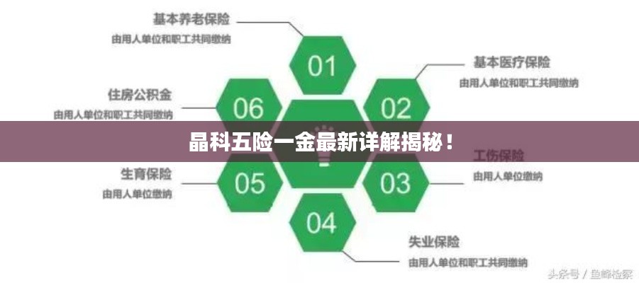 晶科五险一金最新详解揭秘！