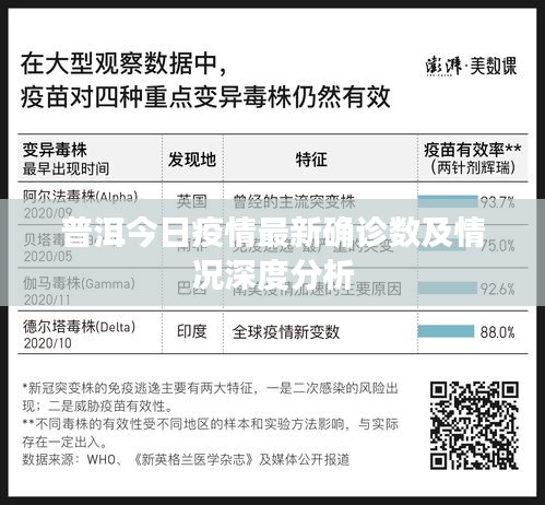 普洱今日疫情最新确诊数及情况深度分析