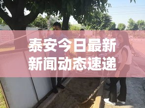 泰安今日最新新闻动态速递