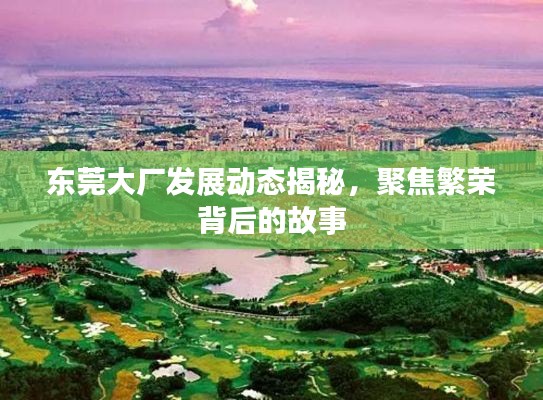 东莞大厂发展动态揭秘，聚焦繁荣背后的故事