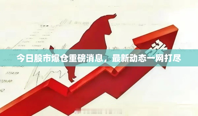 今日股市爆仓重磅消息，最新动态一网打尽