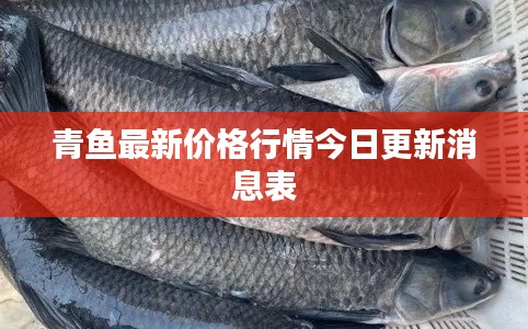 青鱼最新价格行情今日更新消息表
