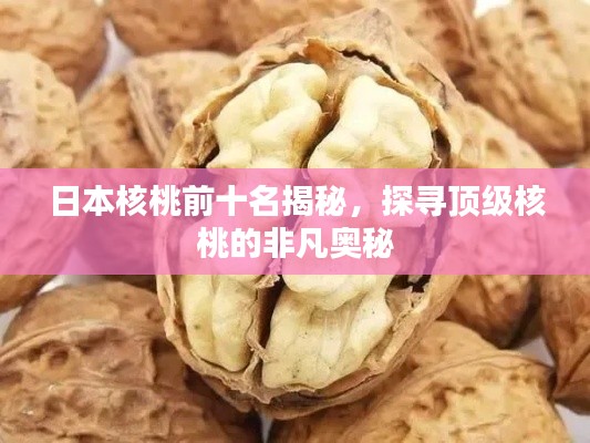 日本核桃前十名揭秘，探寻顶级核桃的非凡奥秘