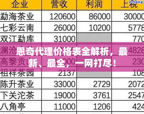 恩奇代理价格表全解析，最新、最全，一网打尽！