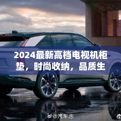 2024最新高档电视机柜垫，时尚收纳，品质生活新选择