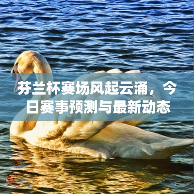 芬兰杯赛场风起云涌，今日赛事预测与最新动态速递