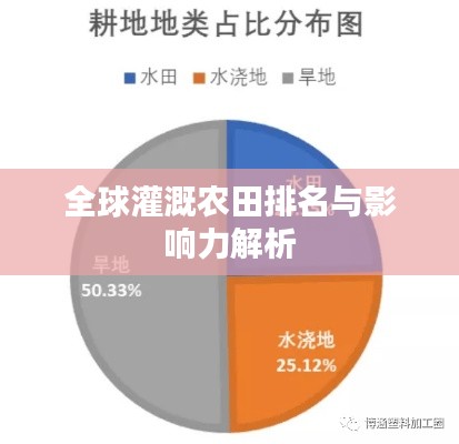 龙飞凤舞 第2页