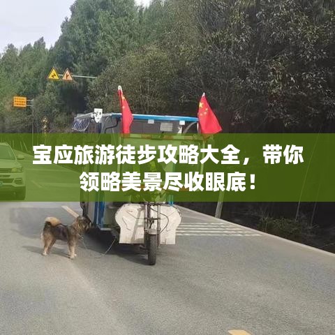 宝应旅游徒步攻略大全，带你领略美景尽收眼底！