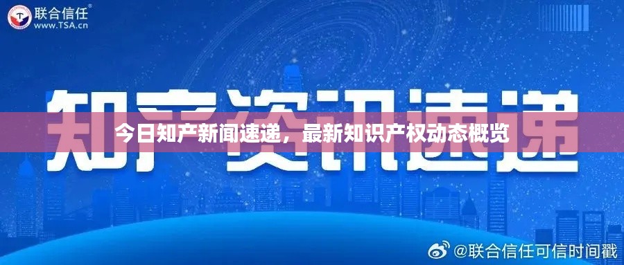 今日知产新闻速递，最新知识产权动态概览