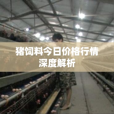 猪饲料今日价格行情深度解析