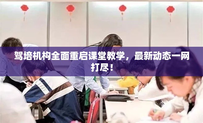 驾培机构全面重启课堂教学，最新动态一网打尽！