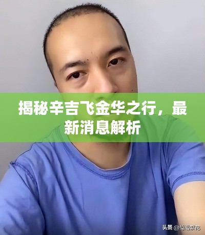 揭秘辛吉飞金华之行，最新消息解析