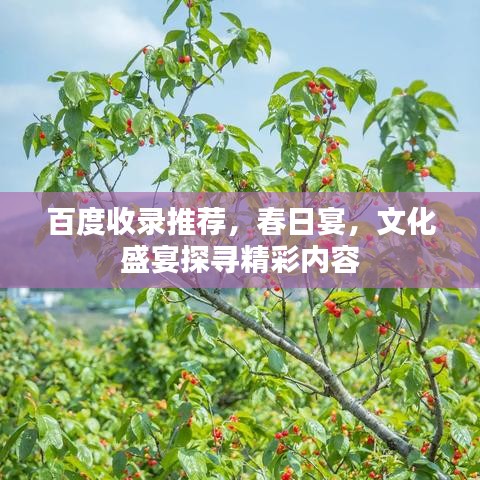 百度收录推荐，春日宴，文化盛宴探寻精彩内容