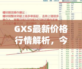 GXS最新价格行情解析，今日市场走势分析