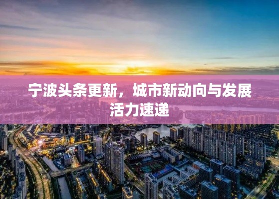 宁波头条更新，城市新动向与发展活力速递