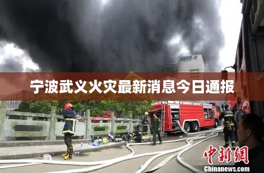 宁波武义火灾最新消息今日通报