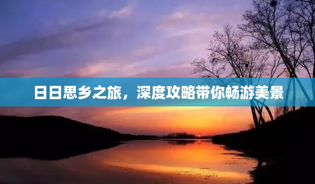 日日思乡之旅，深度攻略带你畅游美景