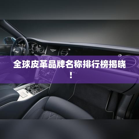 全球皮革品牌名称排行榜揭晓！