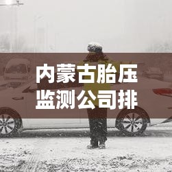 避凶就吉 第2页