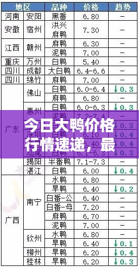 今日大鸭价格行情速递，最新消息一览无余