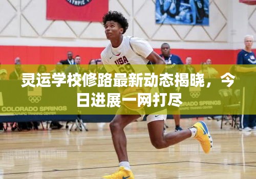 灵运学校修路最新动态揭晓，今日进展一网打尽
