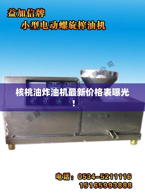 核桃油炸油机最新价格表曝光！