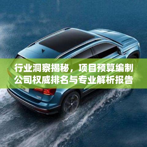 行业洞察揭秘，项目预算编制公司权威排名与专业解析报告