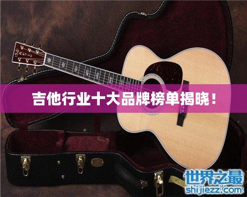 吉他行业十大品牌榜单揭晓！