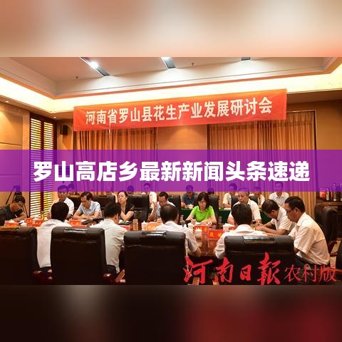 罗山高店乡最新新闻头条速递