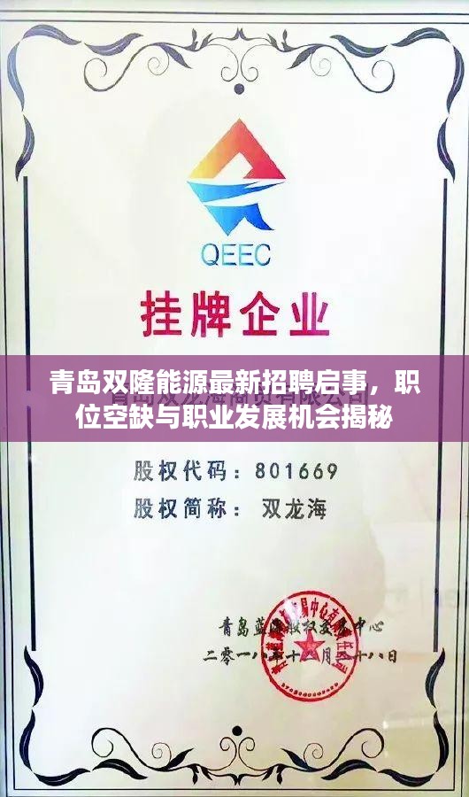 青岛双隆能源最新招聘启事，职位空缺与职业发展机会揭秘